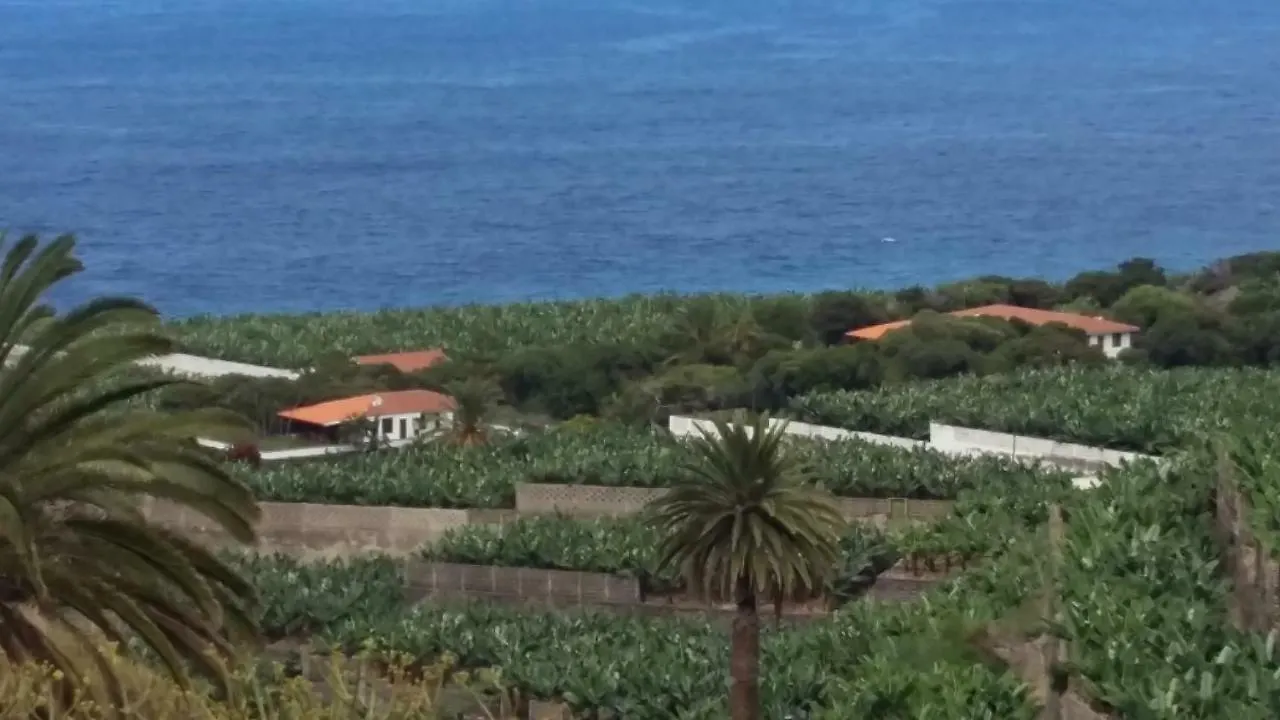 Estudio Los Molinos La Laguna  Apartment La Laguna (Tenerife)